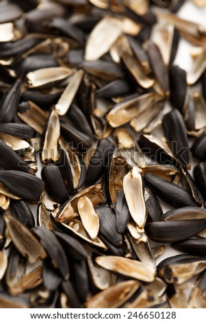 Sunflower seed husks on the white background