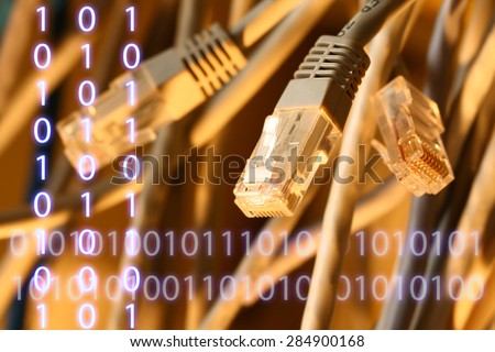 Insulated cords of network link in closeup