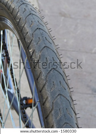 close-up photo of the mountain bike rear wheel