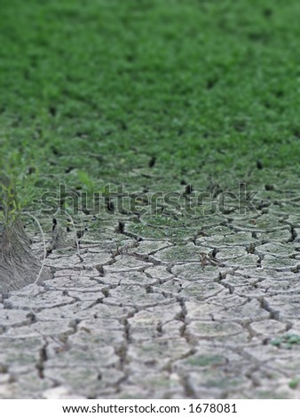 a natural phenomenon, dry soil, cracked under the influence of water and sun, blurred