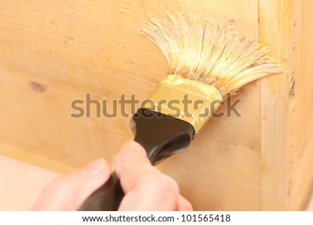 Human hand holding a brush applying a luc varnish paint or enamel on a wooden surface, selective focus on a bristle