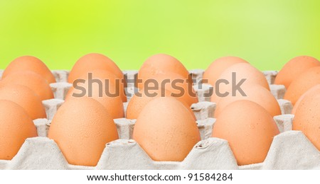Fresh brown diet eggs for breakfast packaged at carton container - close up view against a soft green background