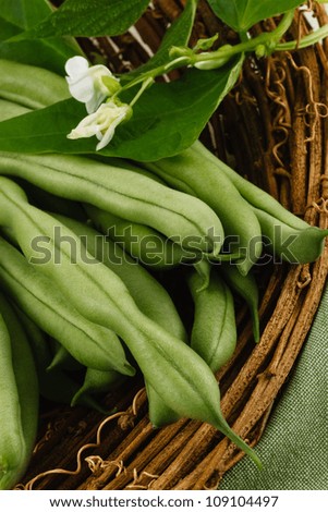 Garden fresh green beans, also known as string beans or runner beans, are a healthy vegetable and part of a nutritious diet.