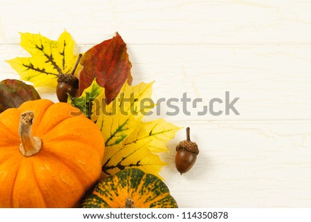 Overhead close up image of traditional Fall decorations with pumpkin, acorns and colorful leaves against and aged white wood background with copy space on right
