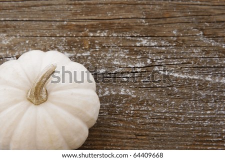 This bold white mini pumpkin rests on a wooden board enhanced with soft focus to create ideal copy space for text
