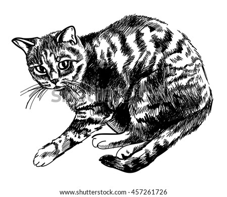 Download Cats drawn Wallpaper 1680x1050 | Wallpoper #386702