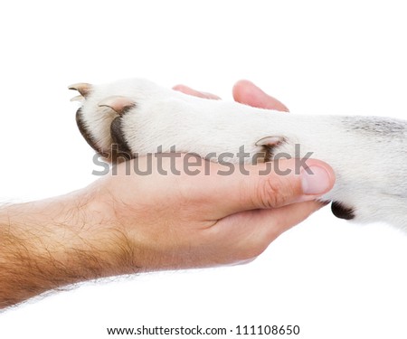 paw to hand