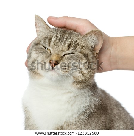 stock-photo-hand-of-person-stroking-head