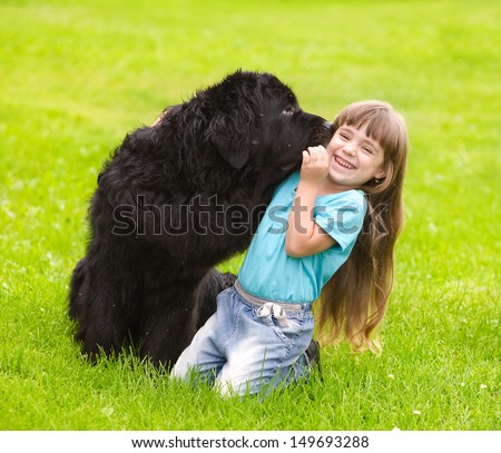 Newfoundland Dog Kisses A Girl