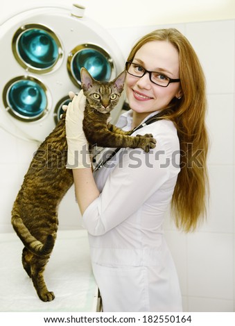 female veterinarian with tabby cat in vet office
