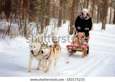 woman and little girl on a sleigh ride  with siberian husky