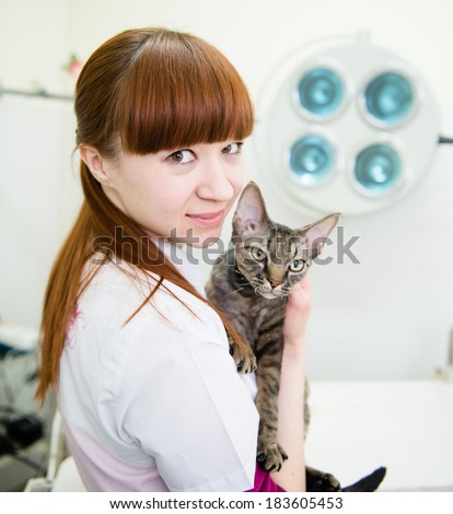 veterinarian with devon rex cat in vet office