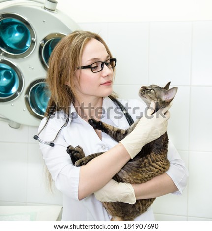 vet with cat in a doctor\'s surgery