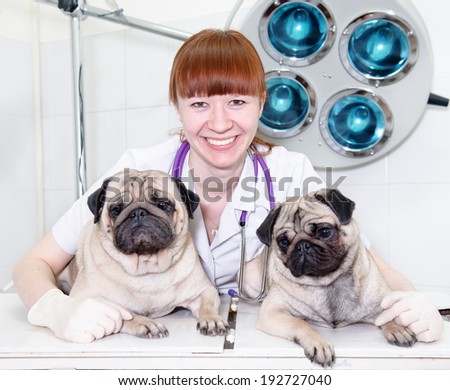 doctor hugging two dogs in a veterinary clinic