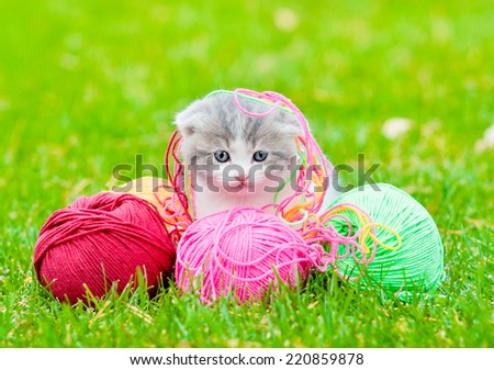 Cute kitten playing with clews of thread on green grass