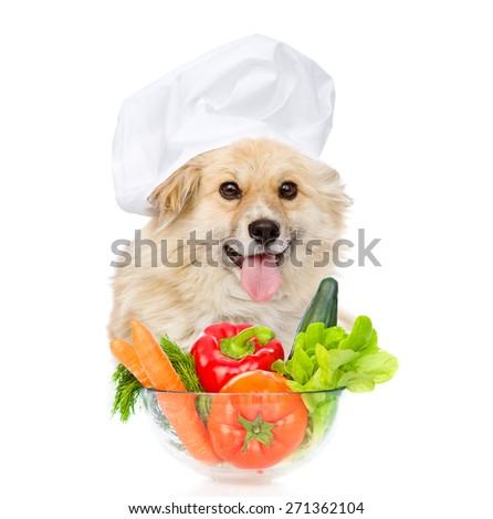 dog  in chef's hat lying with a bowl of vegetables. isolated on white background