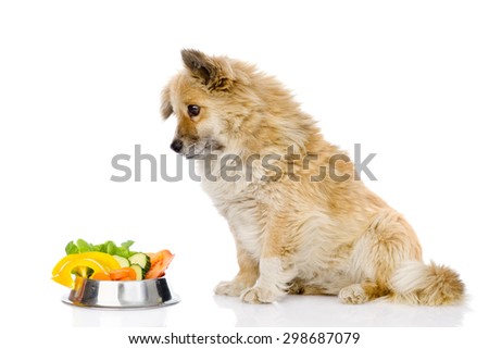 puppy dog sitting with a bowl of vegetables. isolated on white background