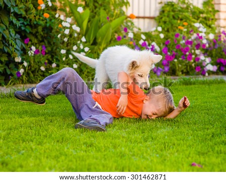 White Swiss Shepherd`s puppy and kid playing together on green grass