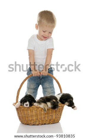 Boy With Puppies