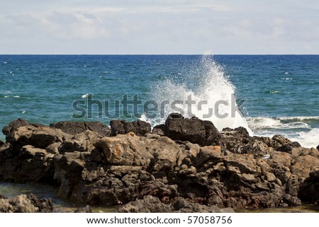 Sea Spray at the Kaena point state natural area reserve
