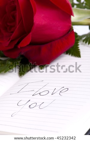I Love You Red Rose. stock photo : Red rose on