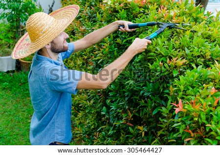 Man cuts bushes with clippers near the house