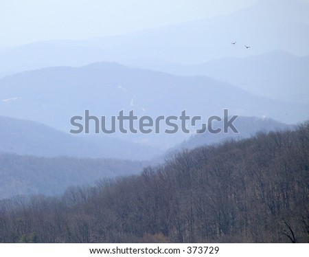 2 birds over South Carolina mountains.