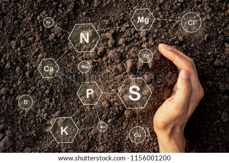 Men's hands are surrounded by rich soil with all the elements needed to grow, while digital icons represent the elements.