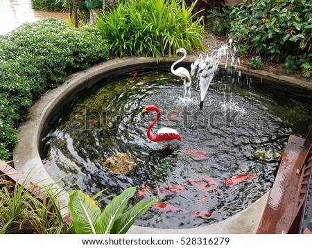 the beautiful Koi pond in the garden