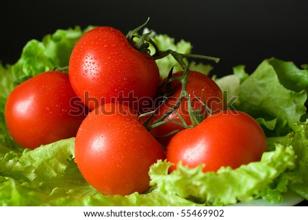 fresh tomatoes and lettuce on black background