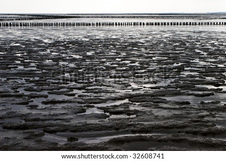 Mud flats at the coast of the north Netherlands