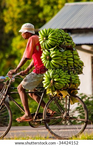 African man traveling with a bunch of bananas on a bike