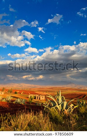 Valley with cactus in front lit by the evening sun