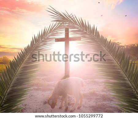 Concept of the Lamb of God: The Lamb in front of the Cross of God