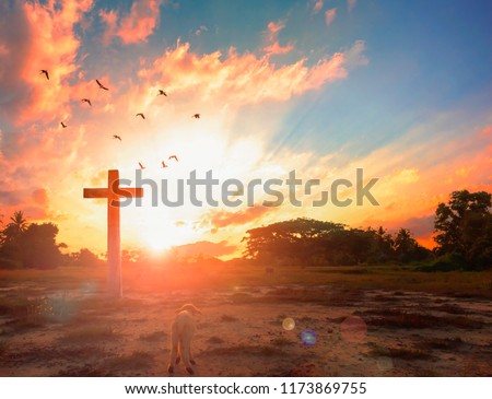 Resurrection of Jesus Christ concept: God Lamb in front of the cross of Jesus Christ on sunrise background