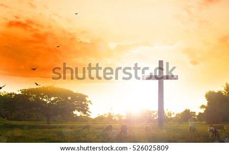 cross on blurry sunset background?Sheep, Shepherd, Christmas, New Year\'s Day,christianity, savior, help trust, maundy thursday, orthodox, thanks giving, he is risen, faith hope love, repentance
