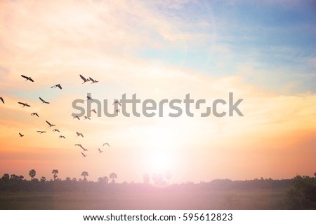 cross on blurry sunset background?Unity concept. Synergy CSR One Peace God Respect Animal Veteran Live View Friend Light Country 2018 Unite Park Eco Hour Idea Heal ROI Bokeh Meadow Time Service