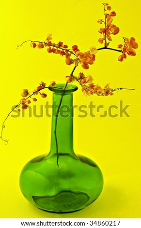 Green vase with flowering vine and yellow background