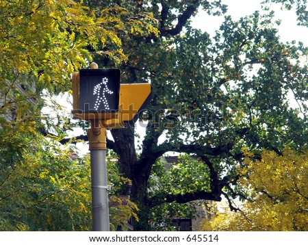 pedestrian crossing signal on a pole with out of focus trees in background