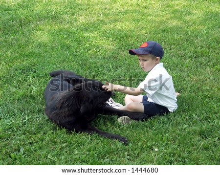 Young boy petting a dog against green grass. Focus on boy\'s hand and dog\'s head.