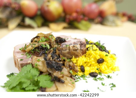 Pork chop with yellow rice and black beans. Shallow DOF. Focus on sauteed onions on pork chop.