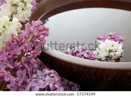 Floating flowers in a bowl of water. Very shallow DOF. Focus on purple flower in water.