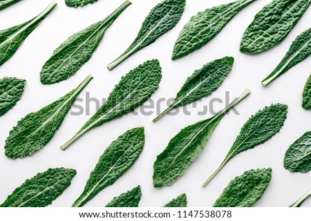 Fresh organic green kale leaves pattern on a white background, flat lay healthy nutrition concept