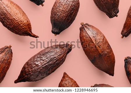 Cocoa pods on a pink background, creative flat lay food concept