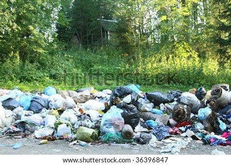 rubbish heap in a forest