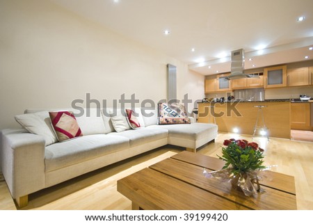 modern living room at Christmas time with large sofa, television, modern kitchen and Christmas rose