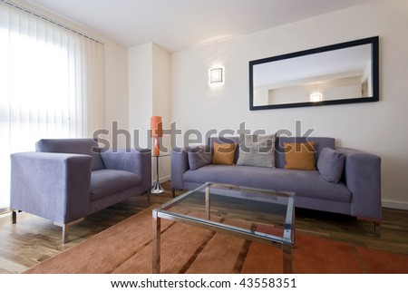 Armchairs Living Room on Modern Living Room With Grey Sofa And Armchair Stock Photo 43558351