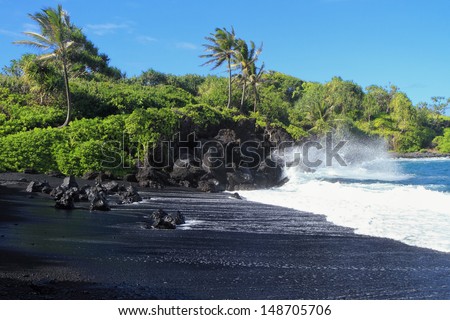 Black sand beach with crashing surf and palm trees