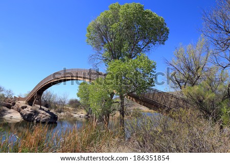 Pedestrian bridge arching over waterway in beautiful park setting