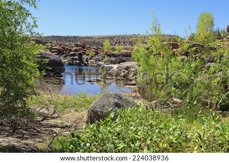 A desert lake with lush foliage is a surprising sight to find in an otherwise arid, barren landscape.